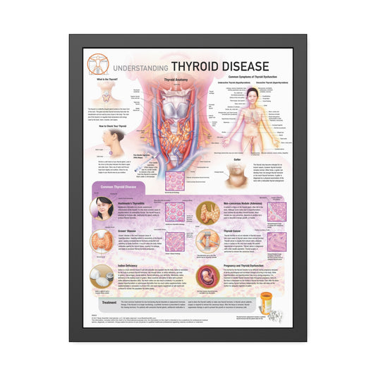 Understanding Thyroid Disease