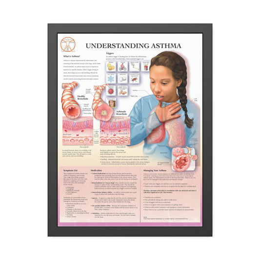 Framed Understanding Asthma