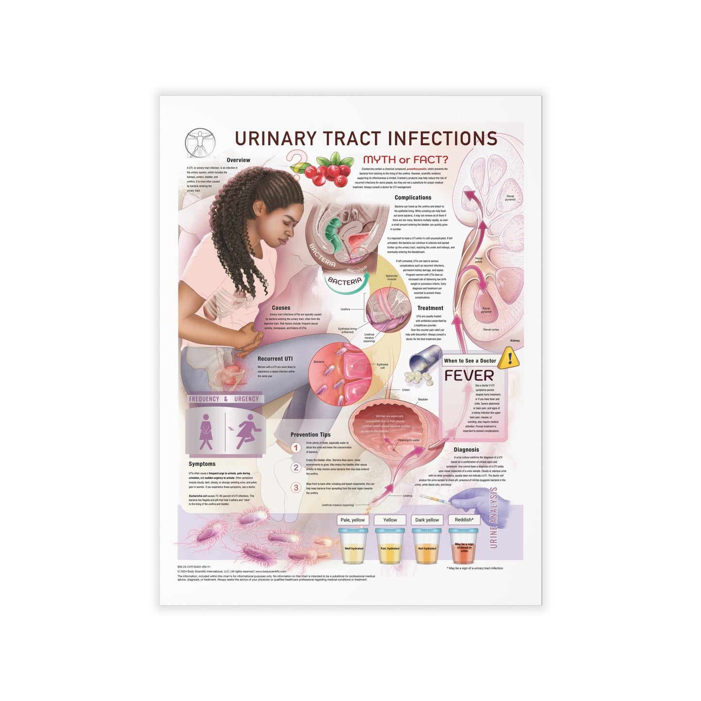 Urinary Tract Infections - Decal