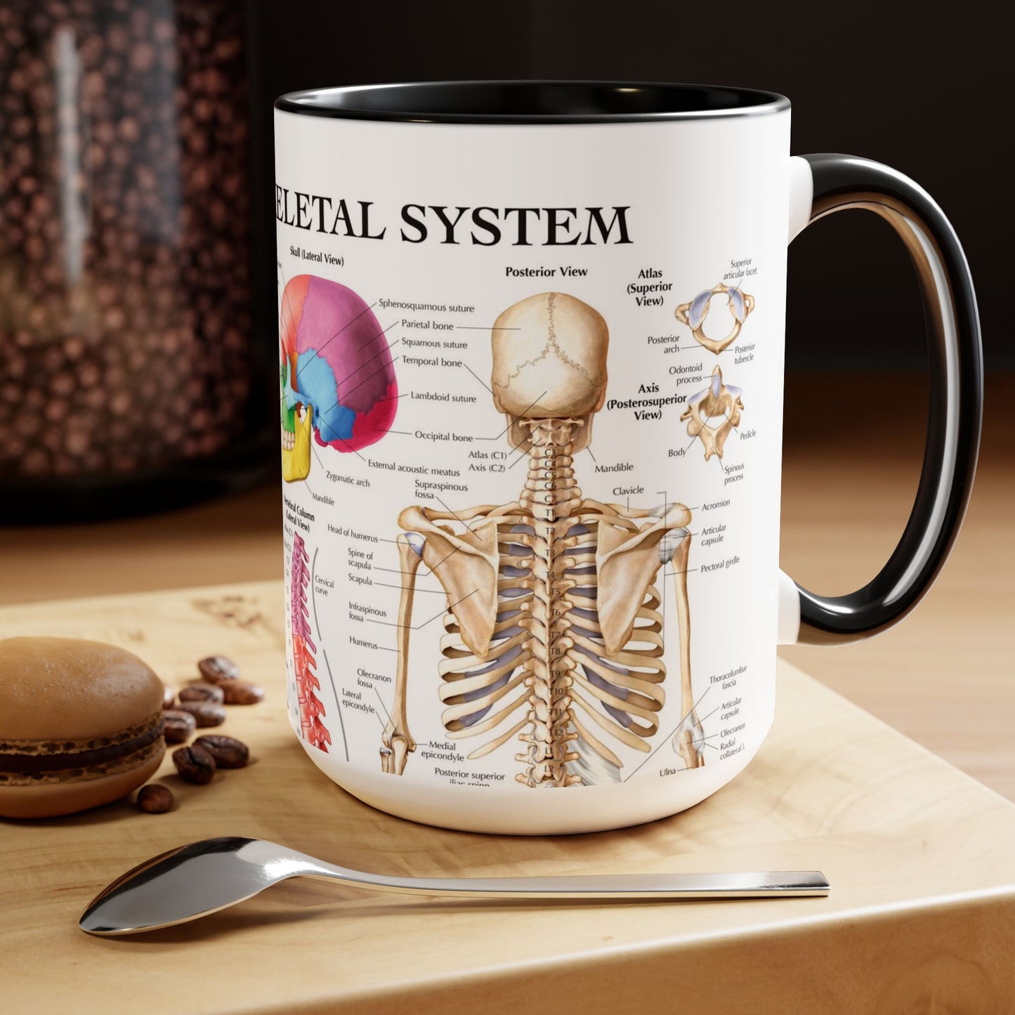 The Skeletal System, 15oz