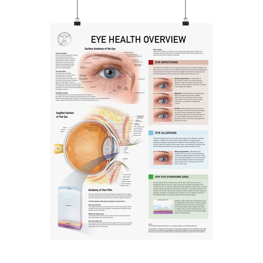 Eye Health Overview