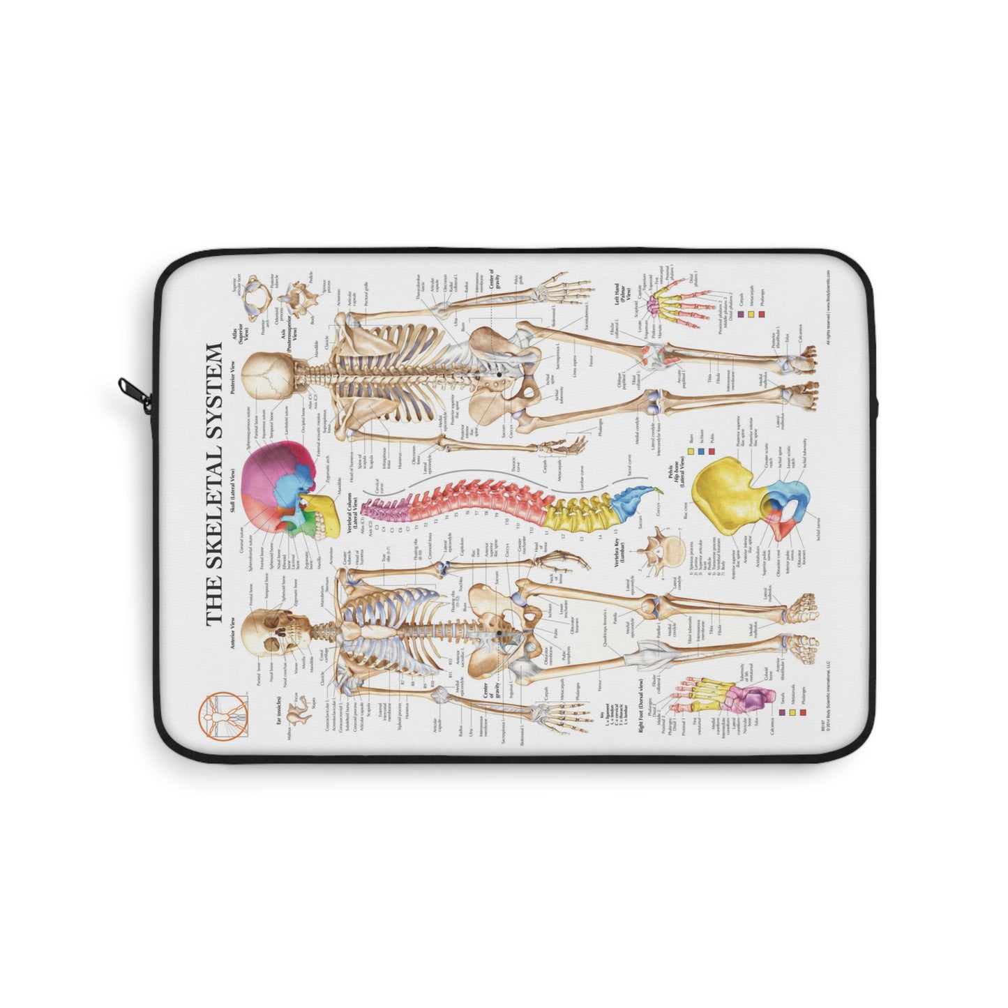 Skeletal System Laptop Sleeve