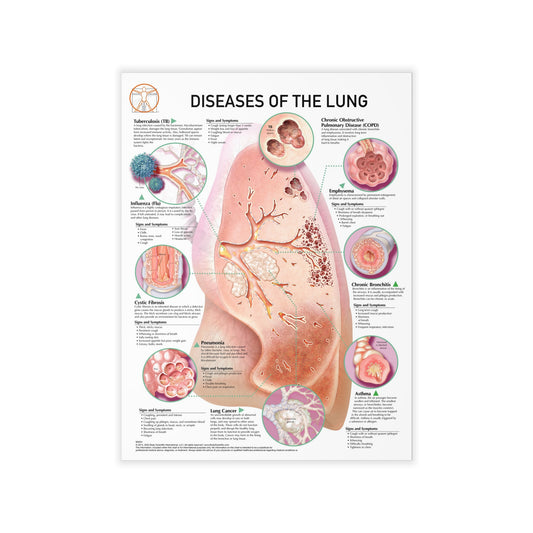 Disease of the Lungs - Decal