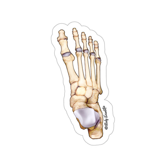 Foot Bones - Diecut Sticker