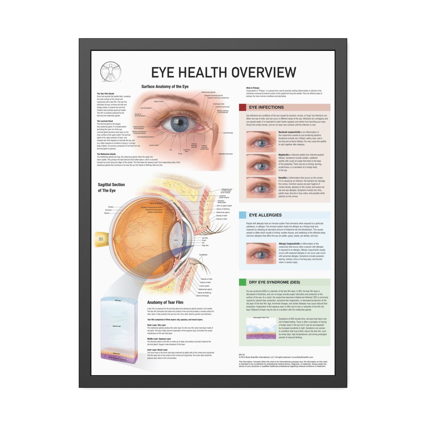 Eye Health Overview