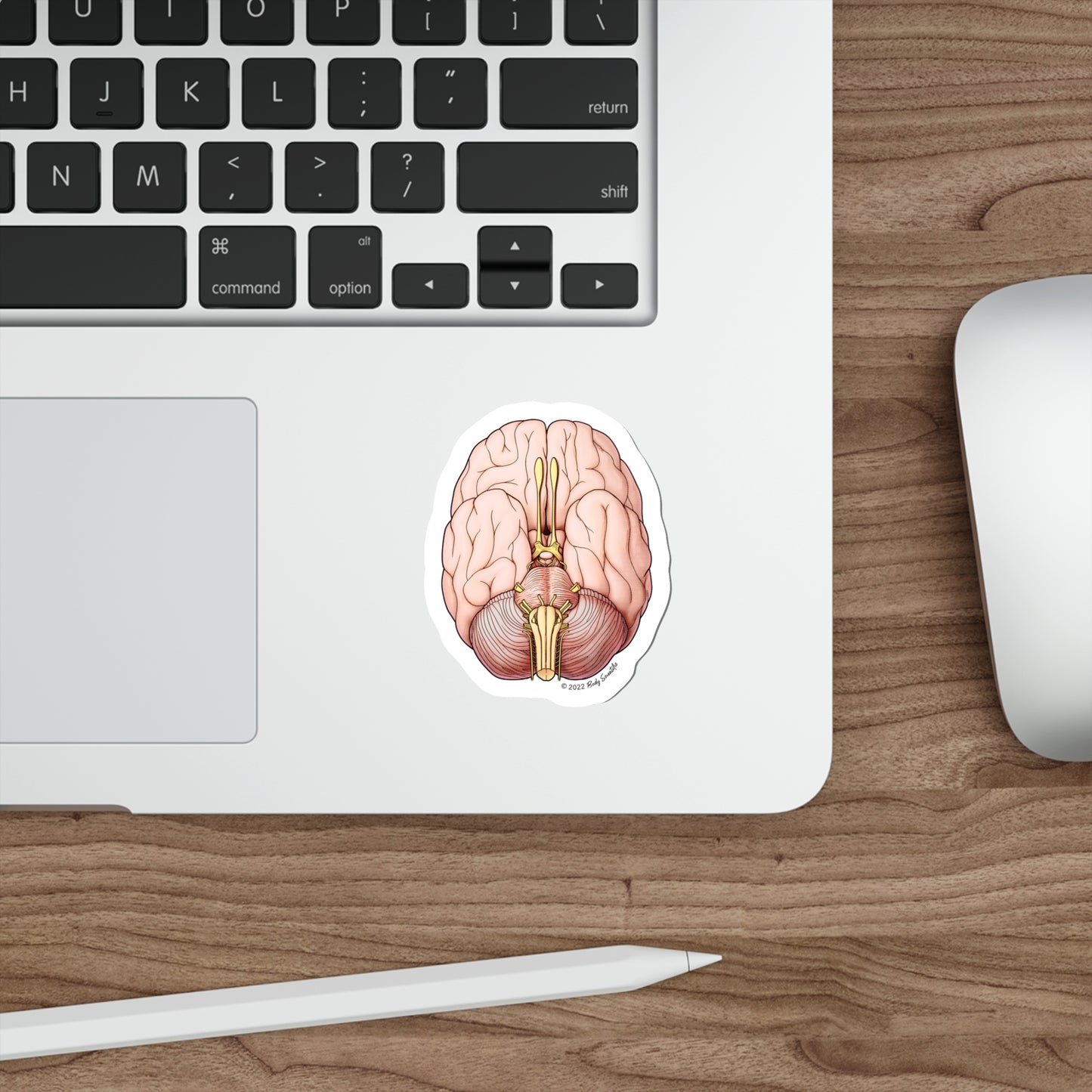 The Brain - Diecut Sticker