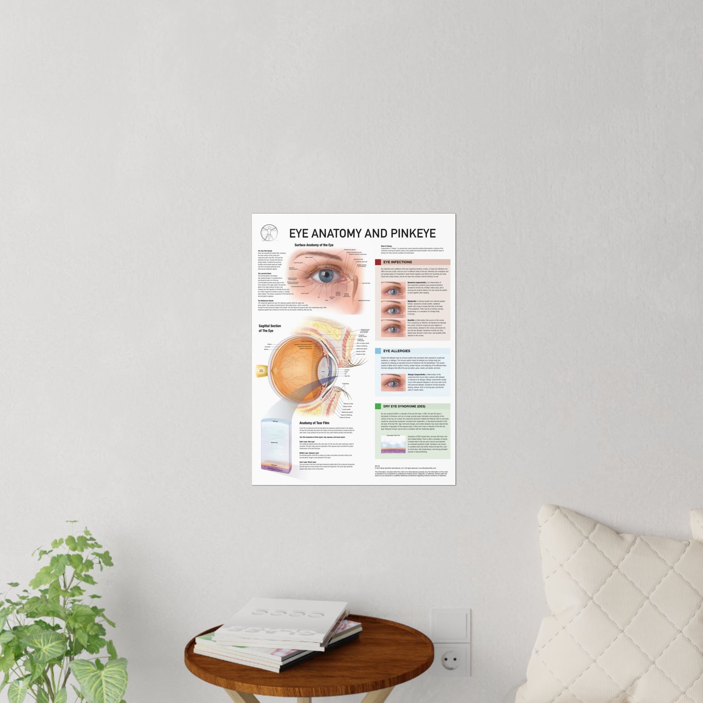 Eye Health - Decal