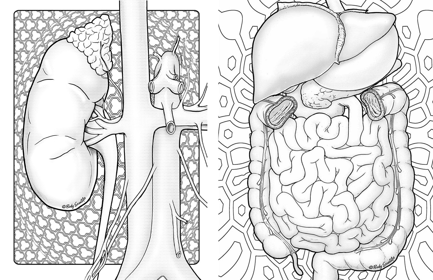 Grey Matter
