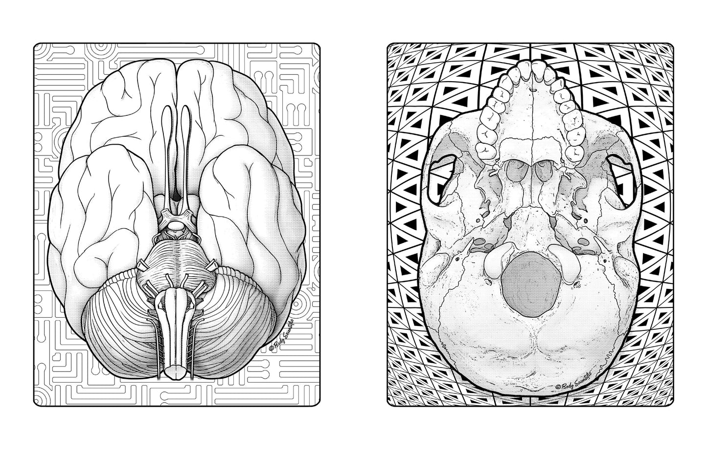 Grey Matter