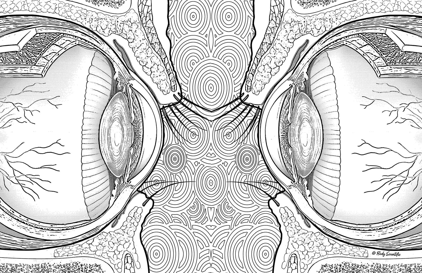 Grey Matter